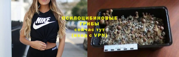 герыч Зеленокумск