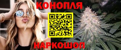 индика Гусь-Хрустальный