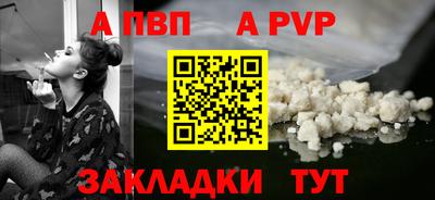 кокс Гатчина