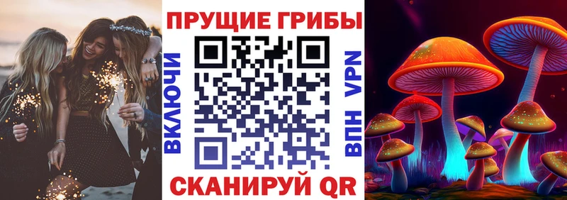 Галлюциногенные грибы Psilocybe цены наркотик Знаменск
