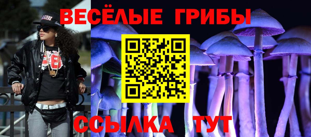 Псилоцибиновые грибы прущие грибы  Вход с VPN  Псилоцибиновые грибы Magic Shrooms  Знаменск 