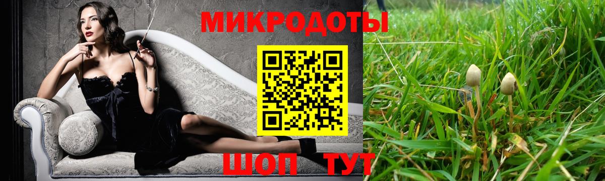 Псилоцибиновые грибы Psilocybine cubensis Знаменск